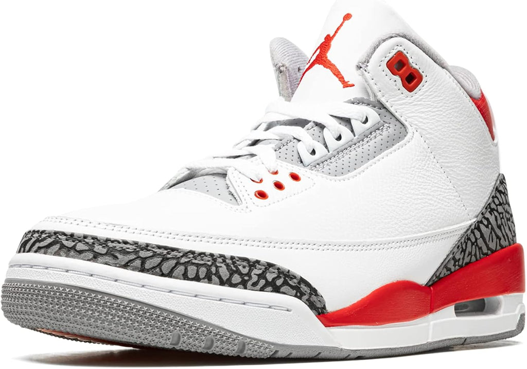 JORDAN 3 RETRO HALL OF FAME