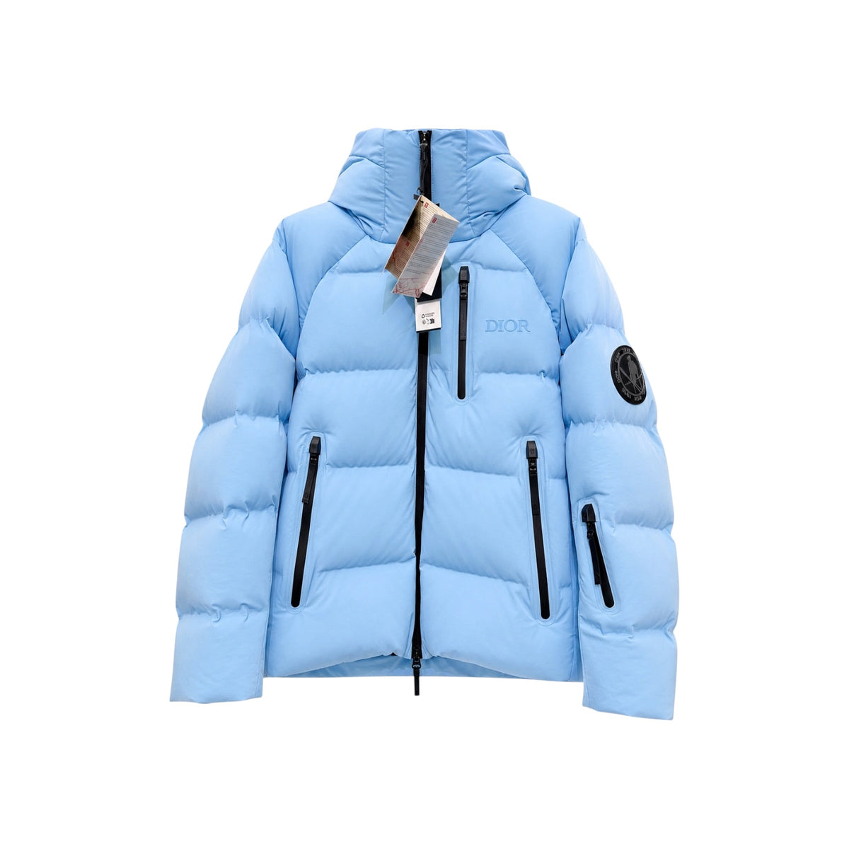 Dior Ski Capsule Hooded Down Jacket
