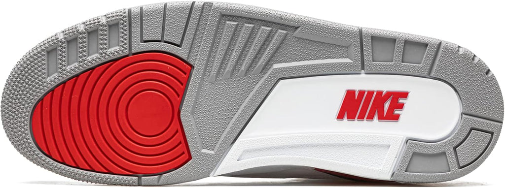 JORDAN 3 RETRO HALL OF FAME