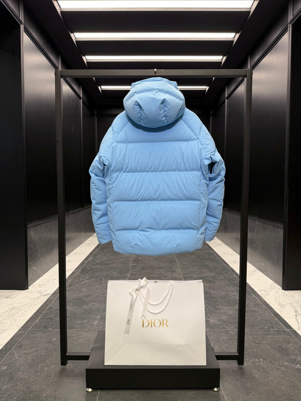 Dior Ski Capsule Hooded Down Jacket